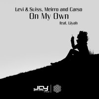 Thumbnail for the Levi & Suiss - On My Own link, provided by host site