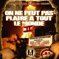 Thumbnail for the Demi Portion - On ne peut pas plaire à tout le monde vol.2 link, provided by host site