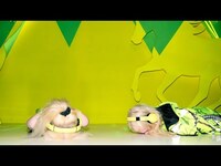 Thumbnail for the 100 gecs - On Nintendo, Country Music, and Trampolines | Feel It / Don't Feel It link, provided by host site