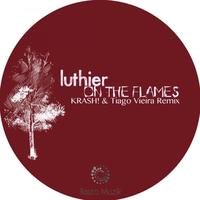 Thumbnail for the Luthier - On The Flames (Remix) link, provided by host site