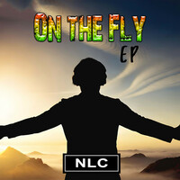 Thumbnail for the NLC - On The Fly link, provided by host site