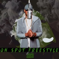 Thumbnail for the RM - On the Spot Freestyle link, provided by host site