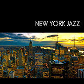 Thumbnail for the Billie Holiday - On The Sunny Side Of The Street link, provided by host site