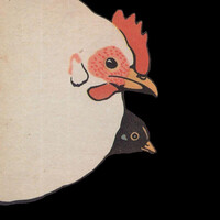 Thumbnail for the Jim O'Rourke - One Bird Two Bird link, provided by host site