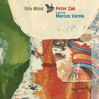 Thumbnail for the Peter Zak - One Mind link, provided by host site