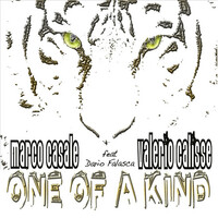 Thumbnail for the Marco Casale - One of a Kind link, provided by host site
