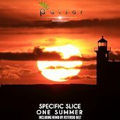 Thumbnail for the Specific Slice - One Summer link, provided by host site