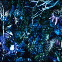 Thumbnail for the SUGIZO - Oneness M link, provided by host site