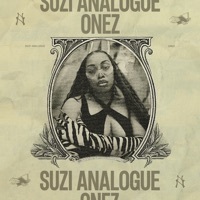 Image of Suzi Analogue linking to their artist page due to link from them being at the top of the main table on this page