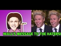 Thumbnail for the Niall Horan - Online trolls just 'want a reaction!' link, provided by host site