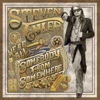 Image of Steven Tyler linking to their artist page due to link from them being at the top of the main table on this page