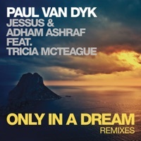 Thumbnail for the Paul van Dyk - Only in a Dream [Chris Bekker Remix] link, provided by host site