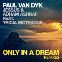 Thumbnail for the Paul van Dyk - Only In A Dream - Chris Bekker Remix link, provided by host site