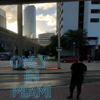 Thumbnail for the TX2 - Only in Miami link, provided by host site