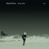 Image of David Torn linking to their artist page due to link from them being at the top of the main table on this page
