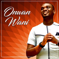 Thumbnail for the Joe Mettle - Onwan Wani link, provided by host site