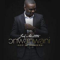 Thumbnail for the Joe Mettle - Onwanwani link, provided by host site