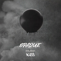Thumbnail for the Nass - Opaque link, provided by host site