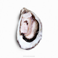 Thumbnail for the Pearl - Open link, provided by host site