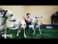 Thumbnail for the Rex Orange County - OPEN A WINDOW link, provided by host site