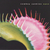 Thumbnail for the Cowboy Junkies - Open link, provided by host site