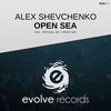Thumbnail for the Alex Shevchenko - Open Sea link, provided by host site