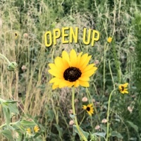 Thumbnail for the Cryptic Wisdom - Open Up link, provided by host site