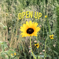 Thumbnail for the Cryptic Wisdom - Open Up link, provided by host site