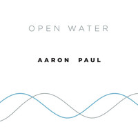 Image of Aaron Paul linking to their artist page due to link from them being at the top of the main table on this page