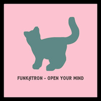 Thumbnail for the Funkatron - Open Your Mind link, provided by host site