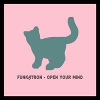 Thumbnail for the Funkatron - Open Your Mind link, provided by host site