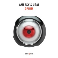 Thumbnail for the Amersy - Opium link, provided by host site