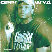 Thumbnail for the Leebo - Opps Wya link, provided by host site