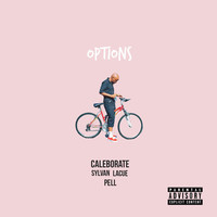 Image of Caleborate linking to their artist page due to link from them being at the top of the main table on this page