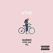 Thumbnail for the Caleborate - Options link, provided by host site