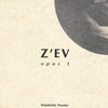 Image of Z'EV linking to their artist page due to link from them being at the top of the main table on this page