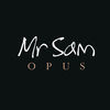 Thumbnail for the Mr Sam - Opus link, provided by host site