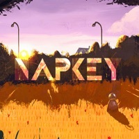 Thumbnail for the Napkey - Orange link, provided by host site