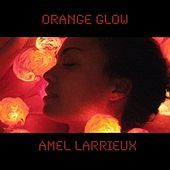Thumbnail for the Amel Larrieux - Orange Glow link, provided by host site