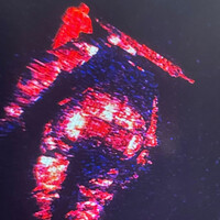 Thumbnail for the Rainbow - Orange Piccolo link, provided by host site