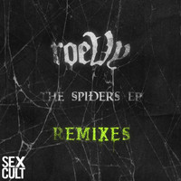 Thumbnail for the John Roman - Orbweaver - John Roman Remix link, provided by host site