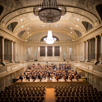 Thumbnail for the Ratus - Orchestra link, provided by host site