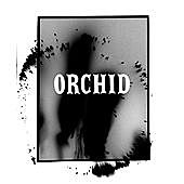 Thumbnail for the Miss June - Orchid link, provided by host site