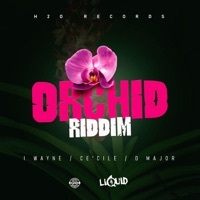 Thumbnail for the I Wayne - Orchid Riddim link, provided by host site