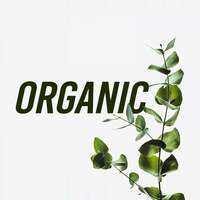 Thumbnail for the Bar Lounge - Organic link, provided by host site