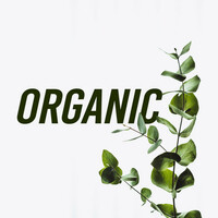 Thumbnail for the Bar Lounge - Organic link, provided by host site