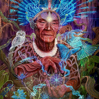 Thumbnail for the Liquid Bloom - Organic Intelligence Regenerated link, provided by host site