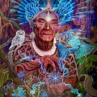 Thumbnail for the Liquid Bloom - Organic Intelligence Regenerated link, provided by host site