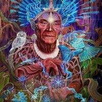 Thumbnail for the Liquid Bloom - Organic Intelligence (Tylepathy Ambient Dub Revision) link, provided by host site
