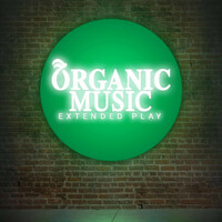 Thumbnail for the Plain James - Organic Music link, provided by host site